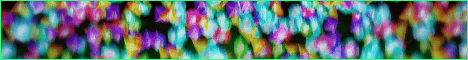 ZeDupe banner