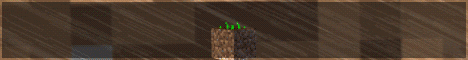DirtMC Minecraft server banner