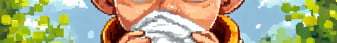 Sop.li banner