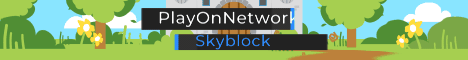 PlayOnNetworks Skyblock Minecraft server banner