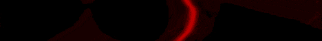 Skull Network Minecraft server banner