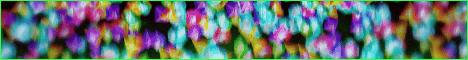 Jungle SMP Minecraft server banner