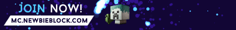 newbieblock Minecraft server banner