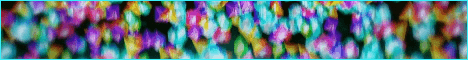 HydenMC Minecraft server banner