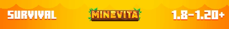 Minevita Minecraft server banner