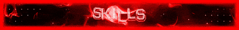 Paradiskaya Minecraft server banner