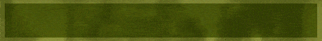 Minelife Survival Minecraft server banner
