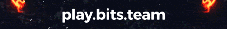 Bits Minecraft server banner