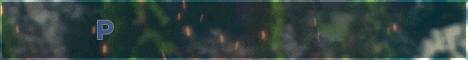 Playwn network Minecraft server banner