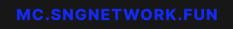 SNG Network Minecraft server banner
