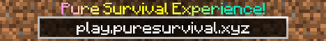 PureSurvival Minecraft server banner