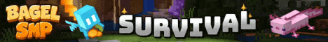 BagelSMP Minecraft server banner