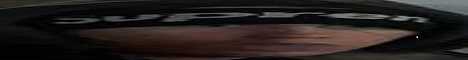 WOK banner