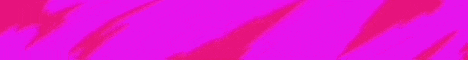 Space Network Minecraft server banner