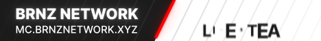 Brnz Network Minecraft server banner