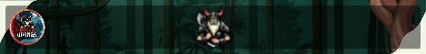 Rogue Vikings Minecraft server banner