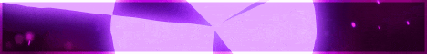 L1feStee1 Minecraft server banner