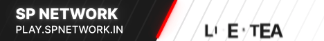 sp network Minecraft server banner
