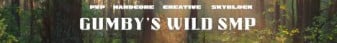 Gumby's SMP banner