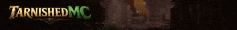 TarnishedMC Minecraft server banner