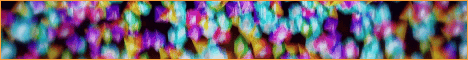 SurvivalCraft Network Minecraft server banner