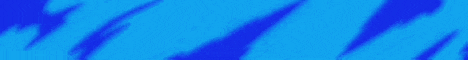 FakeRise Minecraft server banner