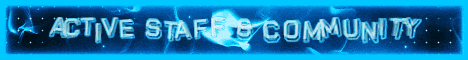 Vain Networks Minecraft server banner